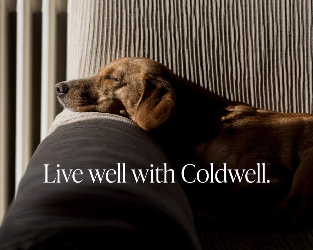 Live Well 2_Square Add Logo